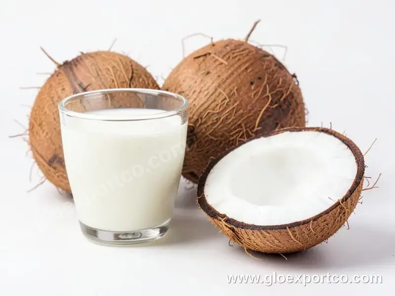 Wholesale Supplier of Good Quality Best Selling 65% Coconut and 35% Water Creamy Texture Organic Coconut Milk – 17% FAT