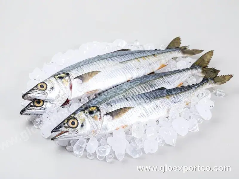 Best Quality Factory Wholesale Price Manufacturers Custom Freeze Dry Eco Friendly Organic Weight Gain Fish Aquatic Food Freeze