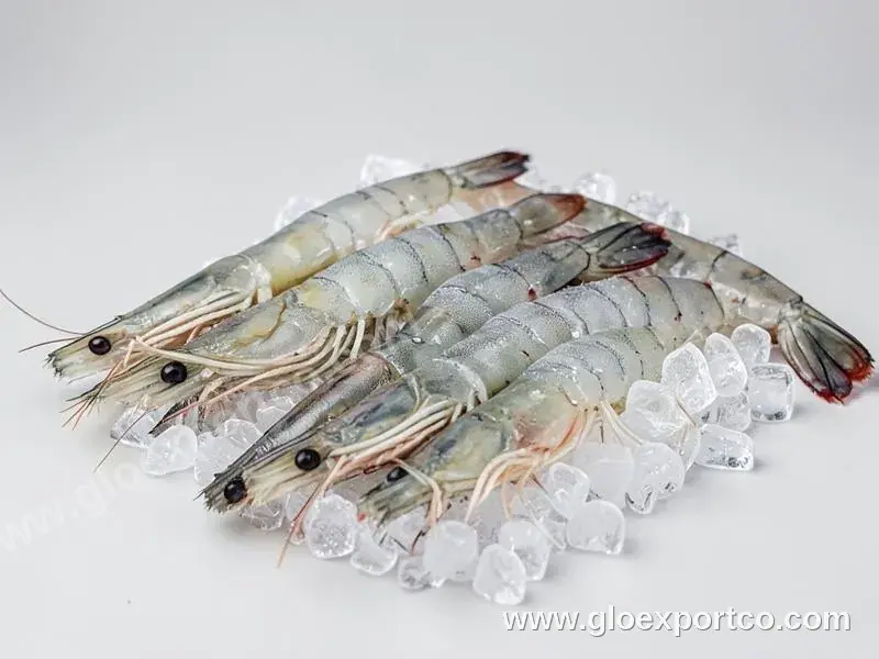 Best Quality Factory Wholesale Price Peeled frozen pink shrimp prawn for sale